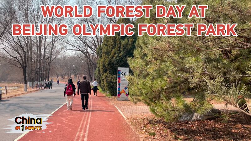 _Explora_el_Parque_Forestal_Oli_mpico_de_Peki_n_este_Di_a_Mundial_de_los_Bosques____ video poster