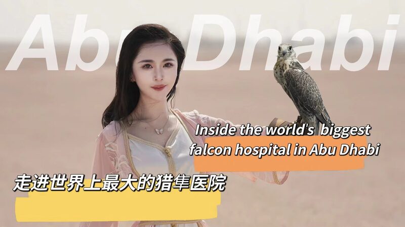 Explora_el_hospital_de_halcones_ma_s_grande_del_mundo_en_Abu_Dabi__ video poster