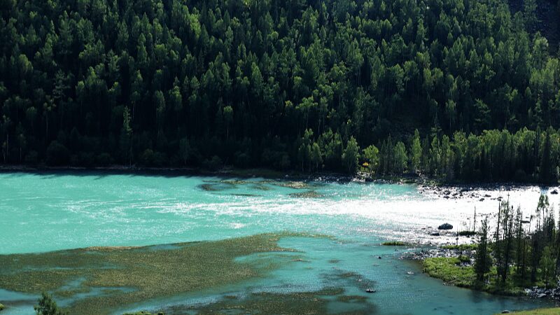 Explora_la_impresionante_Bahi_a_Wolong_en_la_regio_n_de_Kanas_en_Xinjiang__ video poster