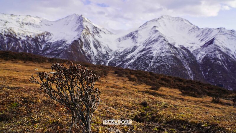 Explora_los_Encantadores_Bosques_de_Monte_Siguniang___