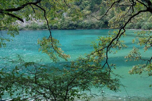 Explora los Lagos y Cascadas Mágicos del Valle de Shuzheng 🌊✨ Explora_los_Lagos_y_Cascadas_Ma_gicos_del_Valle_de_Shuzheng___ video poster