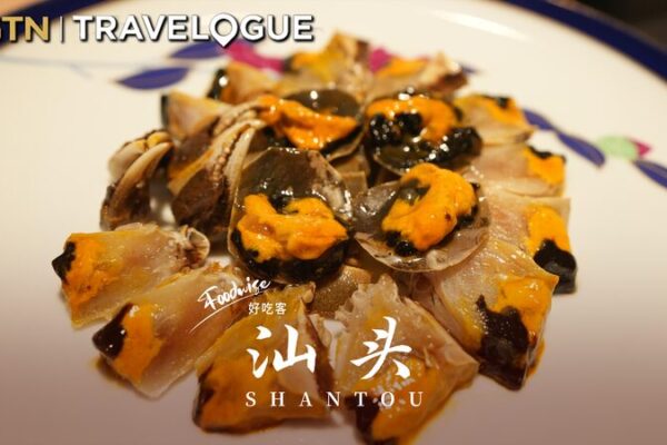 Explorando Shantou: Tradiciones del Té, Snacks Deliciosos y Artesanías Atemporales Explorando_Shantou__Tradiciones_del_Te___Snacks_Deliciosos_y_Artesani_as_Atemporales