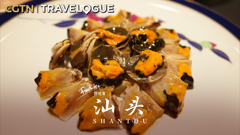 Explorando_Shantou__Tradiciones_del_Te___Snacks_Deliciosos_y_Artesani_as_Atemporales