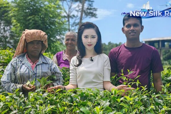 Explorando el Paraíso del Té de Sri Lanka: Un Viaje por las Tierras Altas 🌿☕ Explorando_el_Parai_so_del_Te__de_Sri_Lanka__Un_Viaje_por_las_Tierras_Altas___ video poster