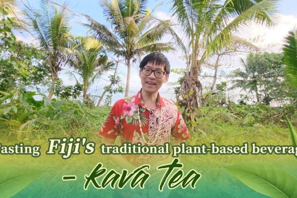 Explorando_el_te__de_kava_de_Fiji__Un_sorbo_de_tradicio_n video poster