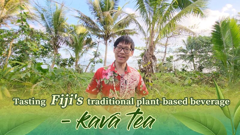 Explorando_el_te__de_kava_de_Fiji__Un_sorbo_de_tradicio_n video poster