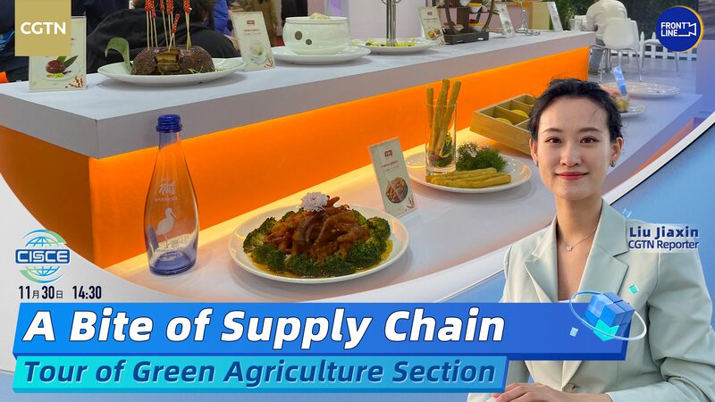 Explorando_la_Cadena_de_Agricultura_Verde_en_la_Primera_Expo_de_Cadenas_de_Suministro_de_China__ video poster
