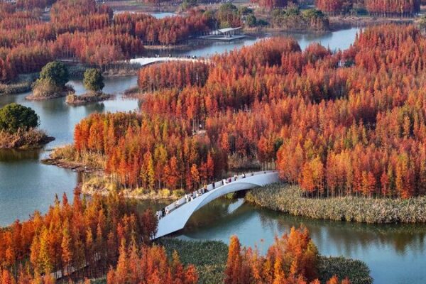 Explorando_la_naturaleza____Aspectos_destacados_del_simposio_sobre_la_visio_n_de_Xi_Jinping_en_recursos_naturales