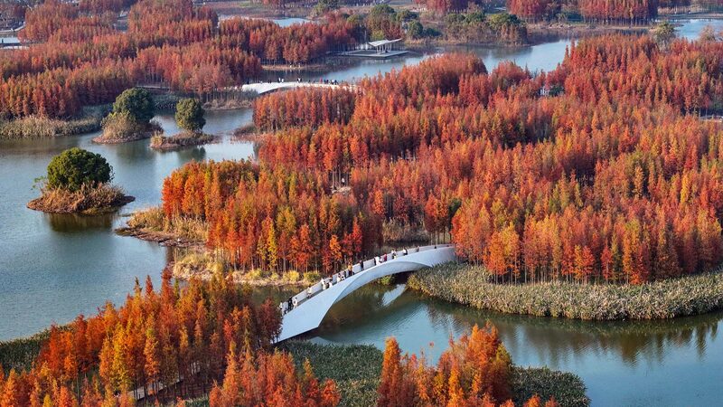 Explorando_la_naturaleza____Aspectos_destacados_del_simposio_sobre_la_visio_n_de_Xi_Jinping_en_recursos_naturales