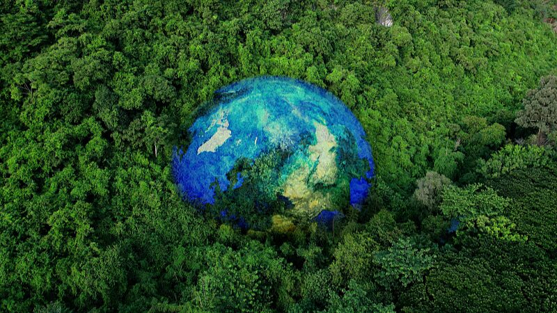 Explorando_las_Maravillas_Verdes_de_China_en_el_Di_a_Nacional_de_la_Ecologi_a__ video poster