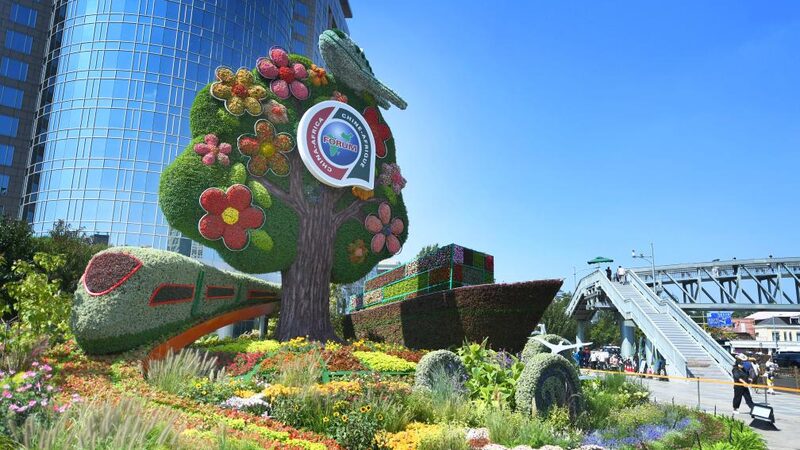 FOCAC_2024__Impulsando_la_agricultura_de_A_frica_con_la_colaboracio_n_de_China____