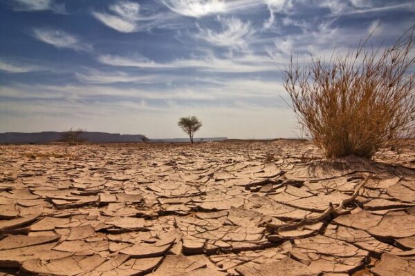 Falta de Fondos Detiene la Lucha Climática en Países de Bajos Ingresos 🌎💔 Falta_de_Fondos_Detiene_la_Lucha_Clima_tica_en_Pai_ses_de_Bajos_Ingresos___