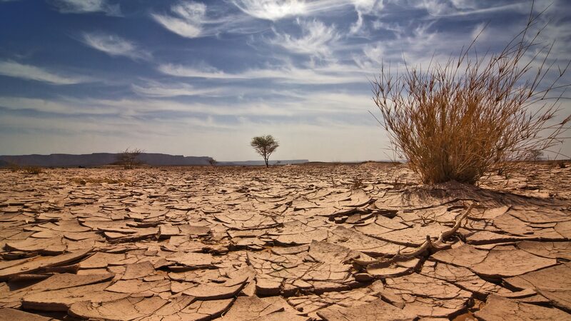 Falta_de_Fondos_Detiene_la_Lucha_Clima_tica_en_Pai_ses_de_Bajos_Ingresos___