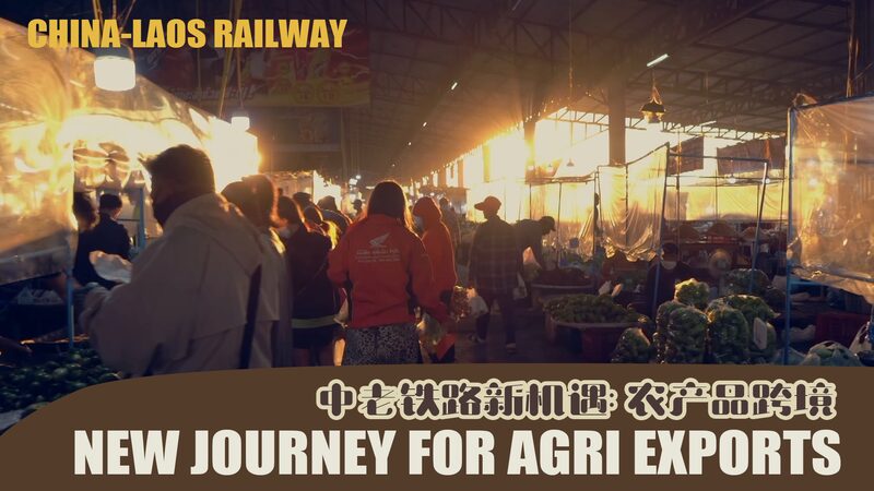Ferrocarril_China_Laos__Un_Nuevo_Viaje_Impulsando_las_Exportaciones_Agri_colas_de_Laos___ video poster