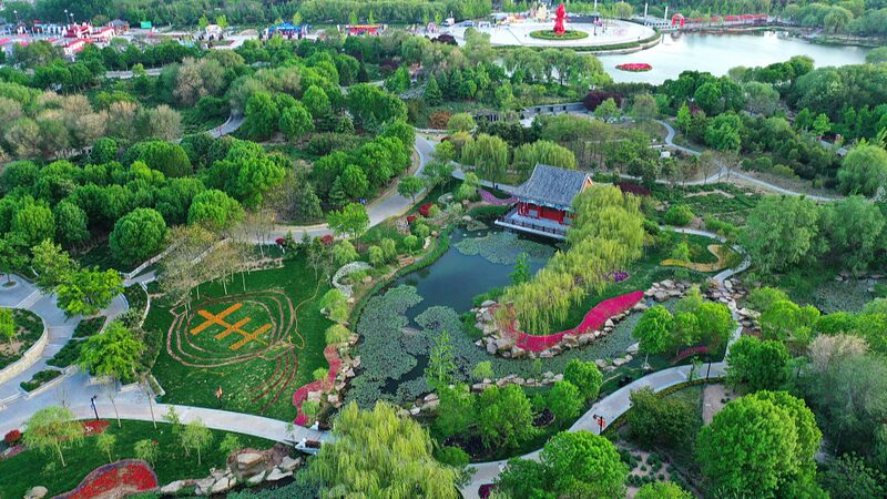 Festival_de_Peoni_as_de_Heze__Sume_rgete_en_un_Mar_de_Flores__ video poster