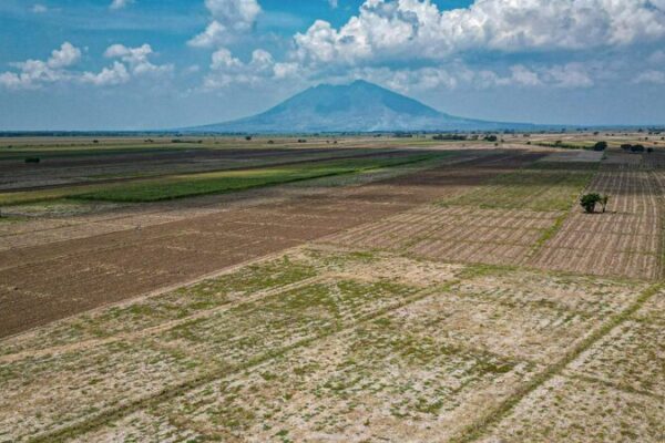 Filipinas considera la siembra de nubes para combatir la sequía de El Niño ☁️💧 Filipinas_considera_la_siembra_de_nubes_para_combatir_la_sequi_a_de_El_Nin_o____