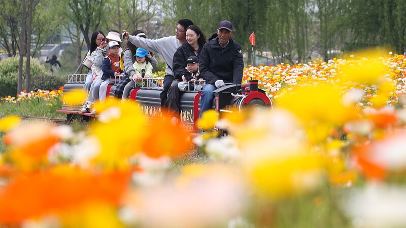 Floraciones_de_Primavera_en_China__Co_mo_los_Festivales_de_Flores_esta_n_Impulsando_el_Turismo_y_la_Economi_a__