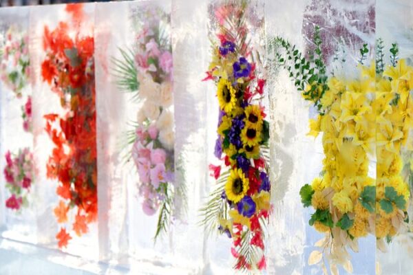 Flores Encantadas en Hielo Deslumbran a los Turistas en Changchun Flores_Encantadas_en_Hielo_Deslumbran_a_los_Turistas_en_Changchun