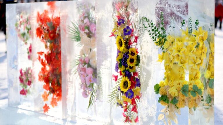 Flores_Encantadas_en_Hielo_Deslumbran_a_los_Turistas_en_Changchun