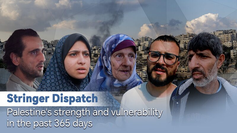 Fuerza_y_Vulnerabilidad__Historias_de_Supervivencia_del_Conflicto_en_Gaza video poster