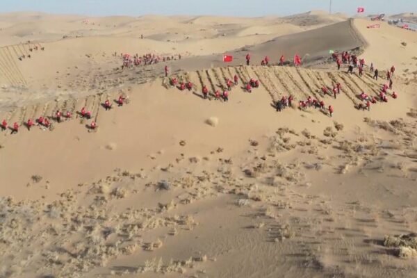 Gansu lanza un proyecto masivo de reforestación para combatir la desertificación 🌳🌍 Gansu_lanza_un_proyecto_masivo_de_reforestacio_n_para_combatir_la_desertificacio_n___ video poster