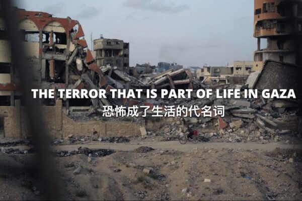 Gaza Bajo Fuego: La Vida en Medio del Terror Gaza_Bajo_Fuego__La_Vida_en_Medio_del_Terror video poster