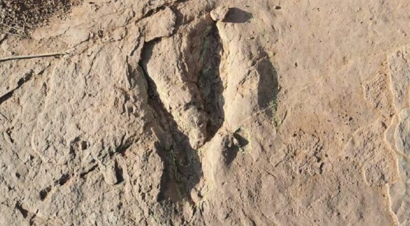 _Gigantescas_Huellas_de_Dinosaurio_Descubiertas_en_Fujian__Una_Sorpresa_Jura_sica___