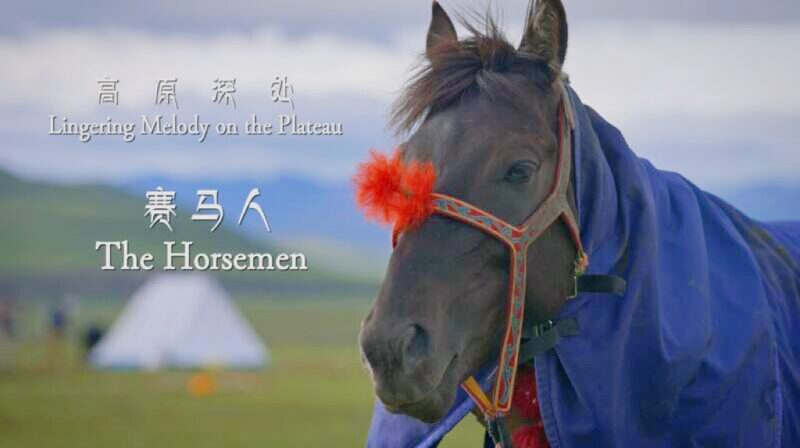 __Gloria_Galopante__Dentro_del_E_pico_Festival_de_Carreras_de_Caballos_de_Xizang video poster