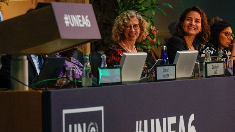 _Grandes_victorias_en_la_UNEA_6__15_resoluciones_para_salvar_nuestro_planeta__