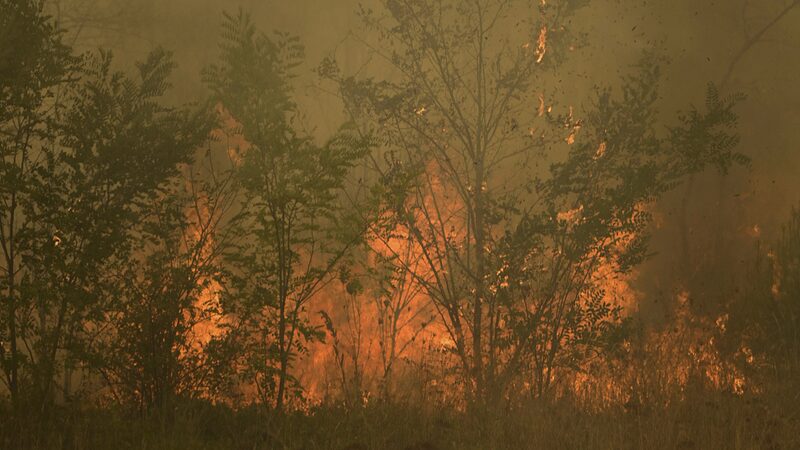 Grecia_eleva_el_nivel_de_alerta_por_incendios_forestales_debido_a_temperaturas_inusualmente_altas____
