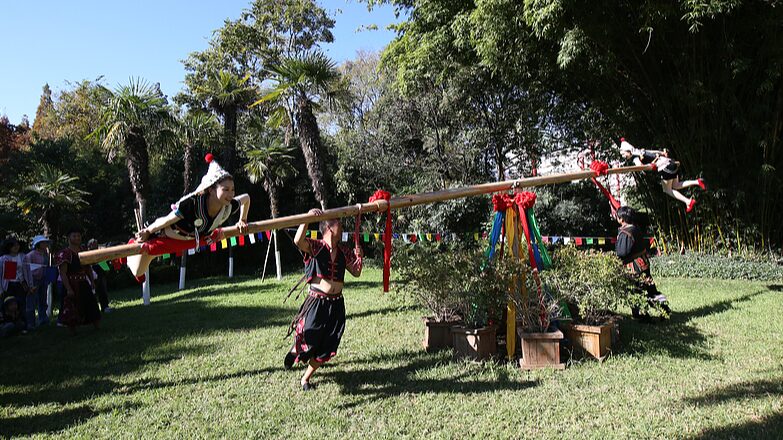 Grupo_E_tnico_Hani_Celebra_un_Vibrante_An_o_Nuevo_en_Yunnan