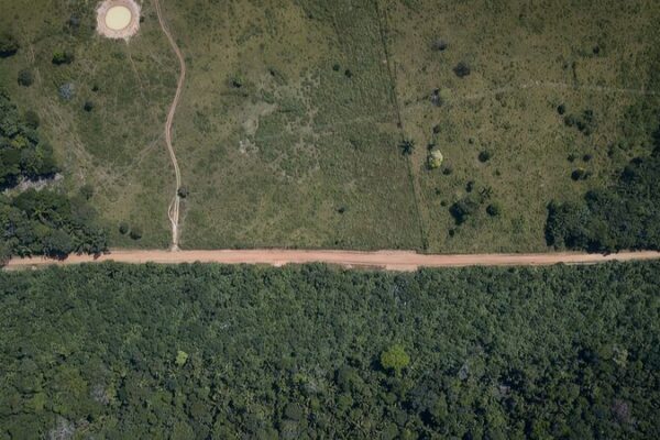 Grupos_armados_bloquean_la_lucha_de_Colombia_contra_la_deforestacio_n_en_el_Amazonas___