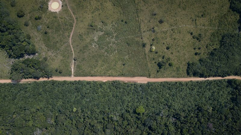 Grupos_armados_bloquean_la_lucha_de_Colombia_contra_la_deforestacio_n_en_el_Amazonas___