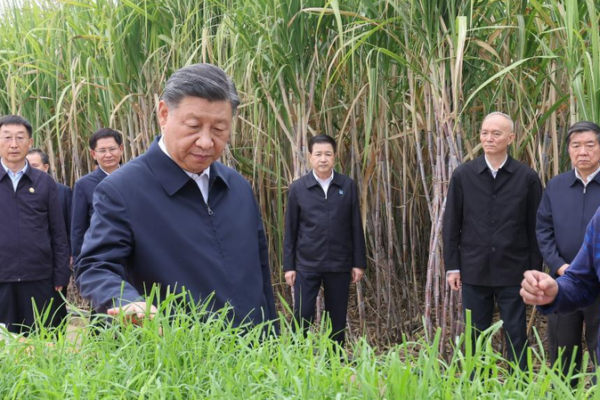 Guangxi: El próximo gran movimiento de China para abrirse al mundo 🌍 Guangxi__El_pro_ximo_gran_movimiento_de_China_para_abrirse_al_mundo__