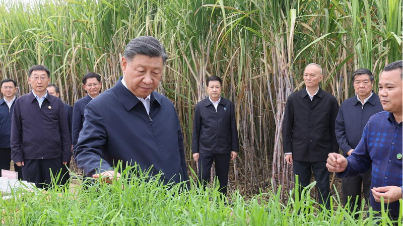Guangxi__El_pro_ximo_gran_movimiento_de_China_para_abrirse_al_mundo__