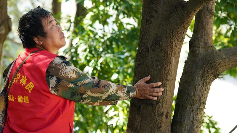 Guardia_n_del_Bosque__El_he_roe_detra_s_de_la_conservacio_n_de_los_humedales_en_Hunan___