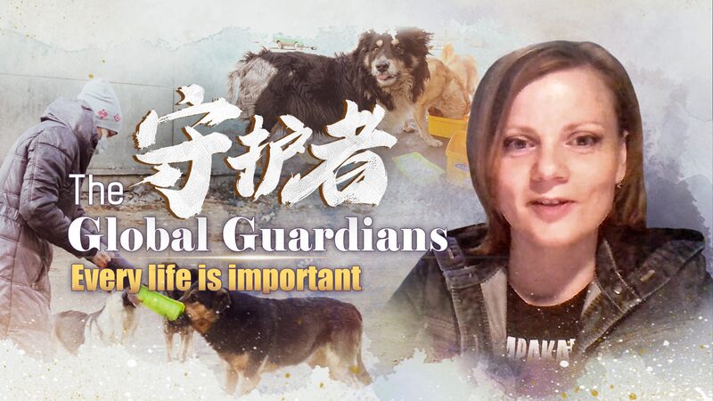 Guardiana_de_los_Callejeros__Elena_Burova_Ayuda_a_los_Perros_de_Moscu__Durante_el_Confinamiento video poster