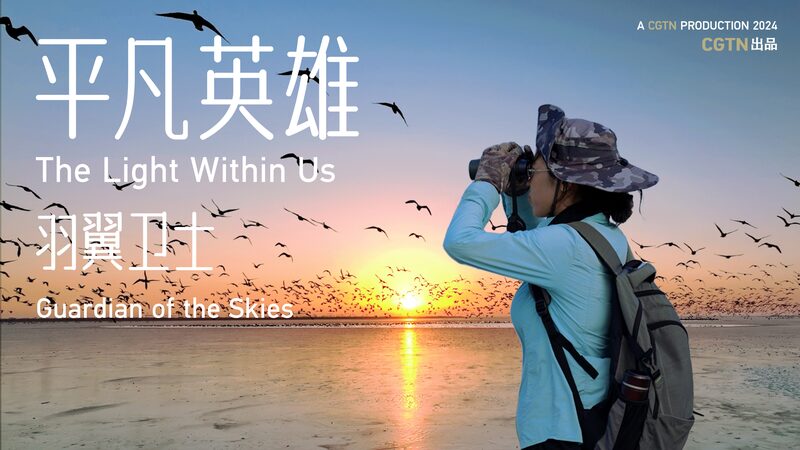 Guardianes_de_los_Cielos__El_Parai_so_de_Aves_de_China_Se_Eleva_Alto video poster