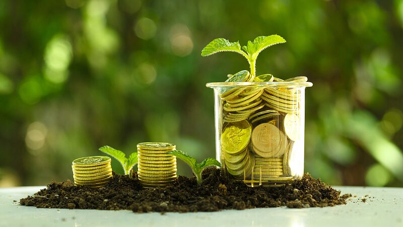 Hacer_que_las_inversiones_clima_ticas_sean_rentables_y_accesibles_para_todos___