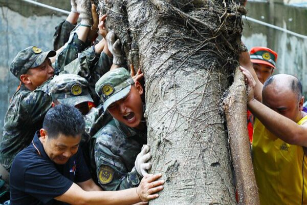 _Hainan_se_levanta_tras_el_su_per_tifo_n_Yagi_____