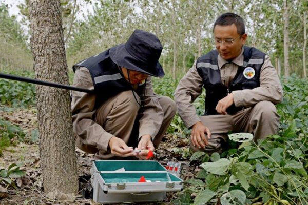 Héroes de la vida silvestre rescatan ciervos milú en la exuberante reserva de Jiangsu He_roes_de_la_vida_silvestre_rescatan_ciervos_milu__en_la_exuberante_reserva_de_Jiangsu