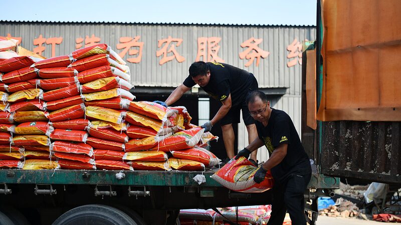 Hebei_se_levanta__Jo_venes_voluntarios_reconstruyen_tras_las_inundaciones__ video poster
