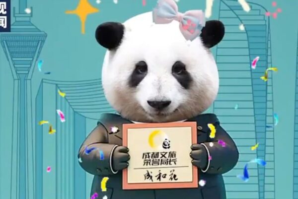 Hua Hua, la querida panda gigante, se convierte en la Jefa Honoraria de Turismo de Chengdu Hua_Hua__la_querida_panda_gigante__se_convierte_en_la_Jefa_Honoraria_de_Turismo_de_Chengdu