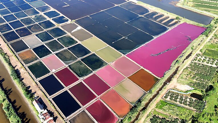 Impresionantes_Campos_de_Sal_Arcoiris_en_Shandong___La_Paleta_de_Colores_de_la_Naturaleza_Revelada___