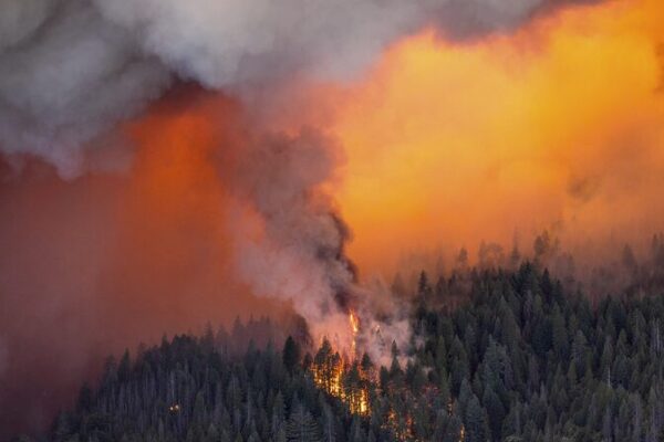 🔥 Incendio Masivo Arrasa en el Norte de California: Miles Evacuados __Incendio_Masivo_Arrasa_en_el_Norte_de_California__Miles_Evacuados