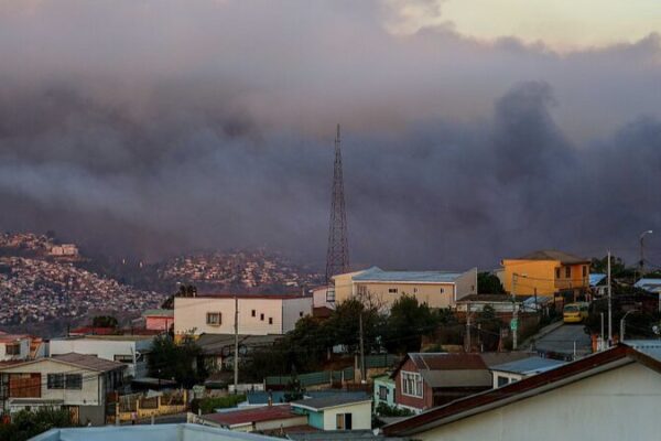 Incendio Mortal Devasta el Jardín Botánico Nacional de Chile 😢🌿 Incendio_Mortal_Devasta_el_Jardi_n_Bota_nico_Nacional_de_Chile___