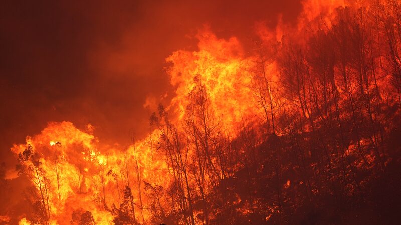 Incendio_forestal_en_I_zmir_obliga_a_cientos_a_evacuar_mientras_las_llamas_alcanzan_a_reas_residenciales