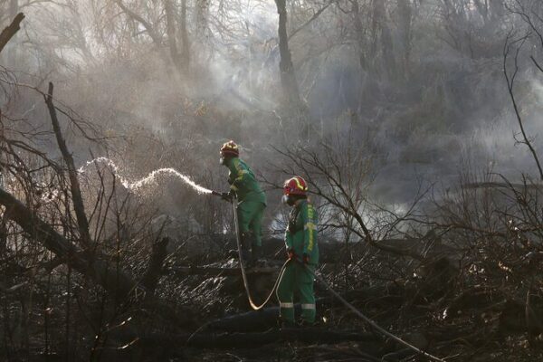 🔥 Incendio masivo cerca de Atenas: ¡90 bomberos combaten el fuego en el Monte Parnitha! __Incendio_masivo_cerca_de_Atenas___90_bomberos_combaten_el_fuego_en_el_Monte_Parnitha_