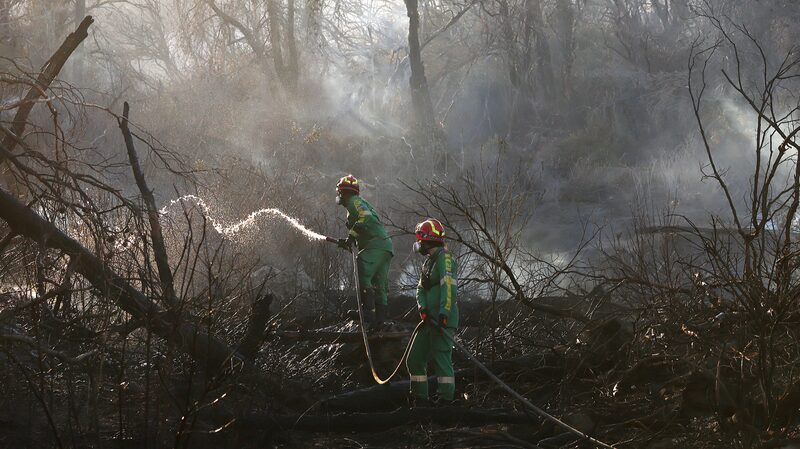 __Incendio_masivo_cerca_de_Atenas___90_bomberos_combaten_el_fuego_en_el_Monte_Parnitha_