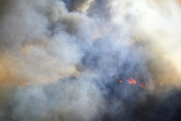 __Incendios_Forestales_Incrementan_Emisiones_de_CO2_en_2023_2024